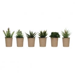 Creative Co-Op Decor Faux Succulent In Paper Pot
