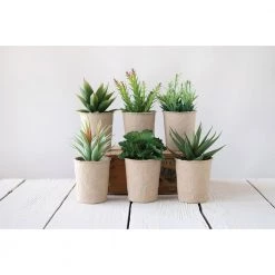 Creative Co-Op Decor Faux Succulent In Paper Pot