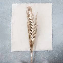 Creative Co-Op Handmade Dried Bunch New Arrivals