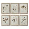 Creative Co-Op Wood Framed Botanicals Decor