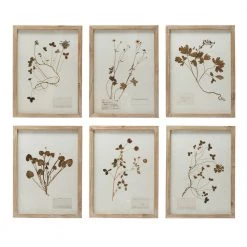 Creative Co-Op Wood Framed Botanicals Decor
