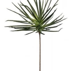Marshalls Leo Greenery Stem