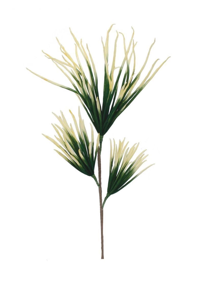 Marshalls Floral + Garden Stanley Greenery Stem 3 Marshalls Floral + Garden Stanley Greenery Stem