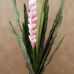 Marshalls Pink Tropical Floral Stem