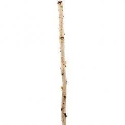 Creative Co-Op Decor Wood Birch Branch