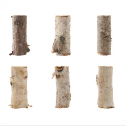 Creative Co-Op Decor Bag O' Sticks