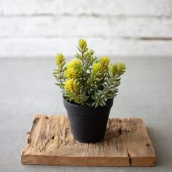 Kalalou Artificial Succulent In A Black Pot Decor