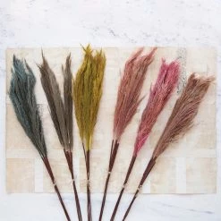 Creative Co-Op Dried Natural Pampas Grass Bunch
